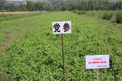 蔬菜平衡施肥技术推广示范基地